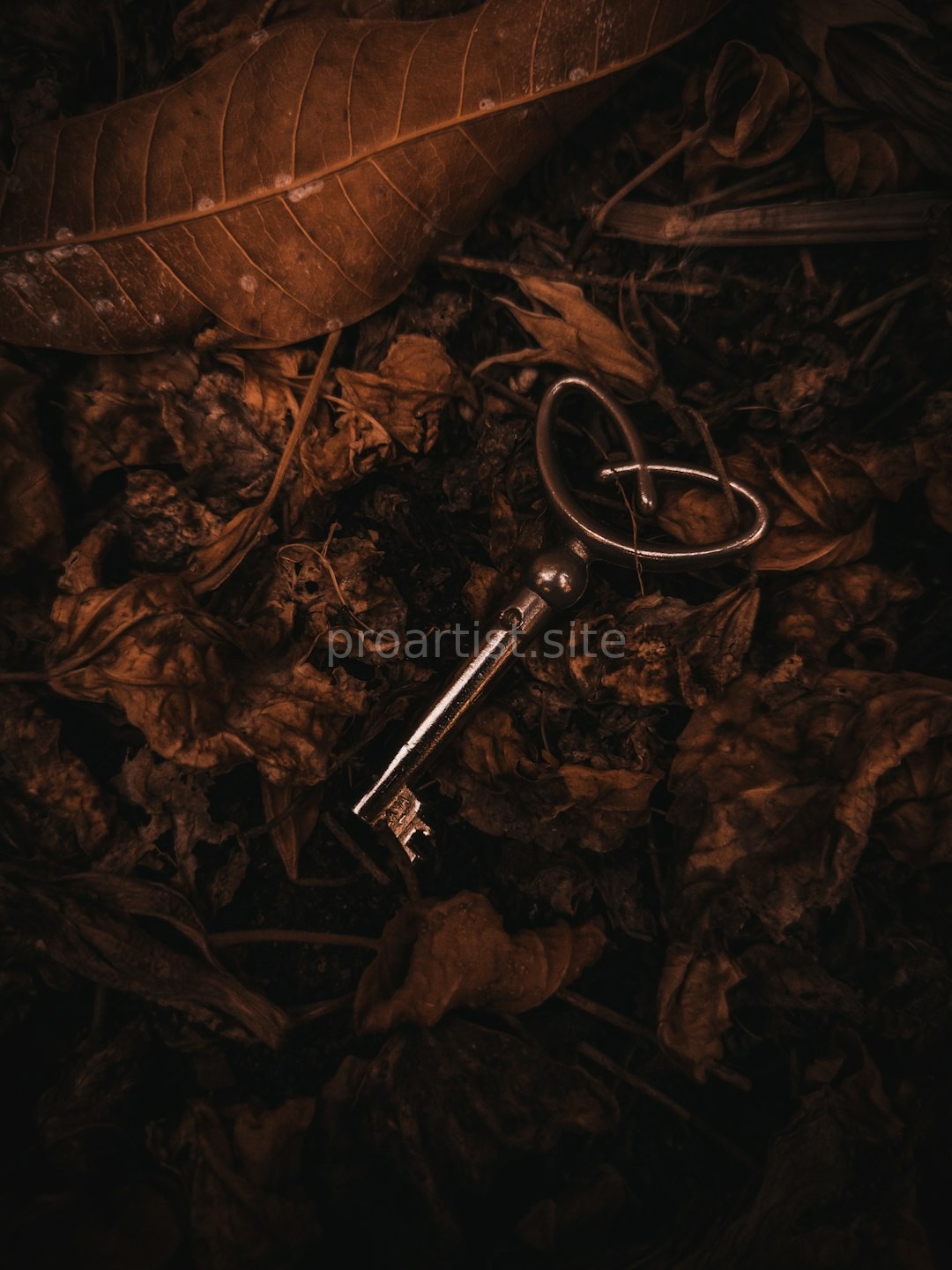 Archive 4